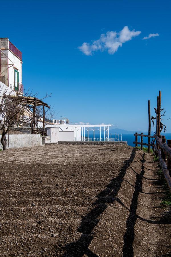 Villa La Tagliata Spectacular Jacuzzi Tub Amazing View And Private Parking Garage Позитано Екстериор снимка